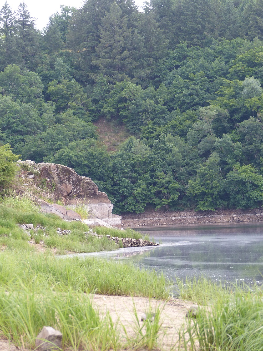 P1150512