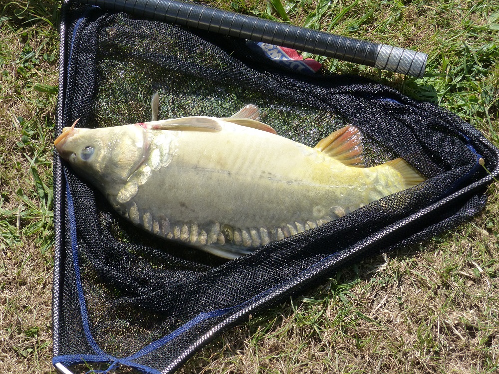 P1020134