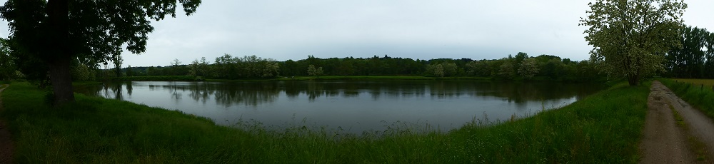 P1030229