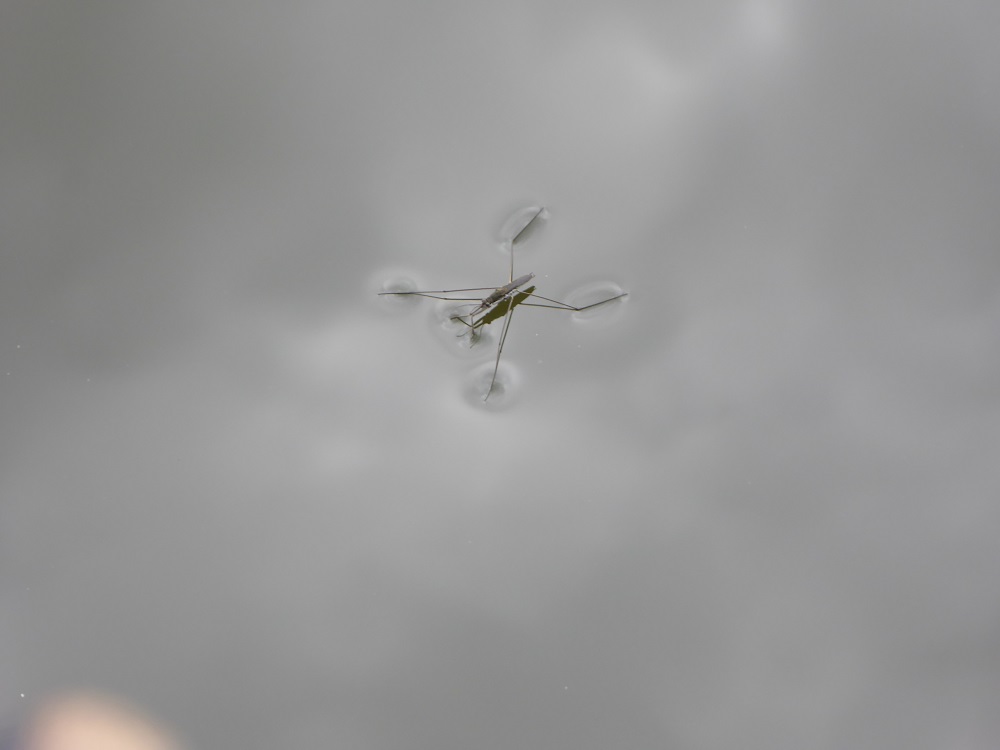 P1030422