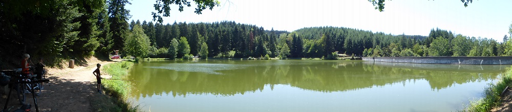 P1040939