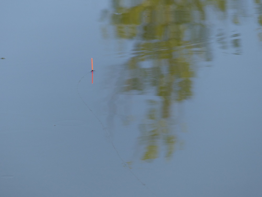 P1050110