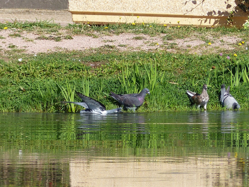 P1050171