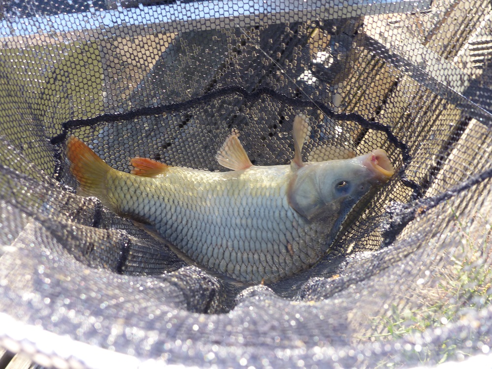P1050380