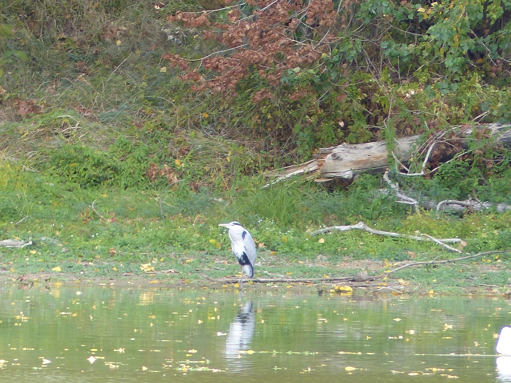 P1050430