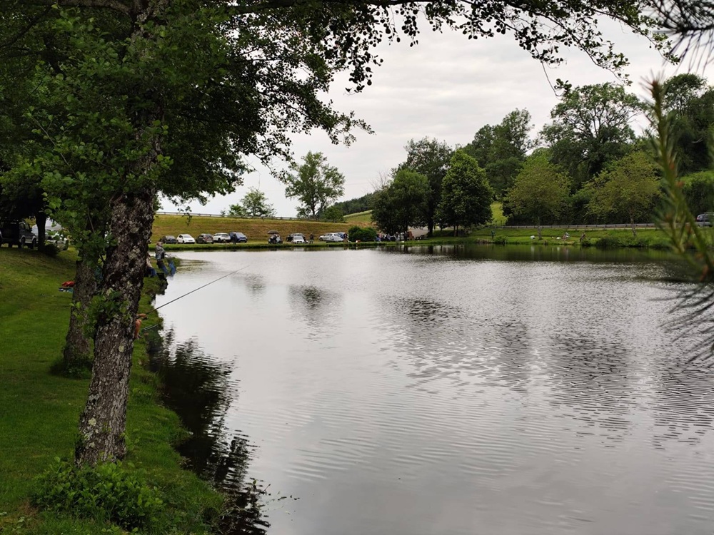 505169316 1241963734385085 2200150766948828345 n