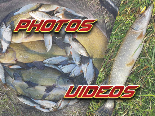vos sorties